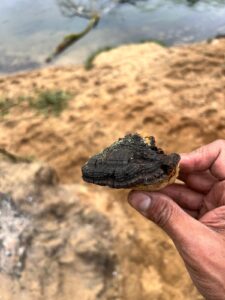 whatsapp image 2025 10 08 at 12.01.35 (2)