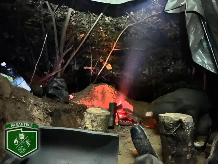 Szkolenie – „Prawdziwy Test” 24h w terenie z nocowaniem